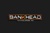 Bankhead Technologies, Inc. Logotype