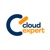 Cloud Expert Logotype