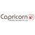 Capricorn Identity Services Pvt. Ltd. Logotype