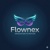 FlowNex Logotype