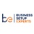 Business Setup Experts DMCC Logotype