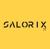 Salorix IT Pvt Limited Logotype