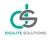 Digilite Solutions Logotype