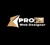 ProFox Web Designer Logotype