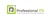 Professional IT Solutions Logotype