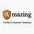 Amazing Logotype