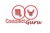 ConnectGuru Logotype