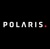 Polaris Design Logotype
