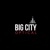 Big City Optical - Oak Brook Logotype
