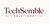TechSemble Solutions Logotype