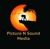 PICTURE N SOUND MEDIA Logotype