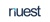 NUEST CONSULTING LLP Logotype