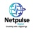 Netpulse Digital Logotype