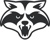 Raccoon Soft Logotype