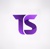 TechSolio Logotype