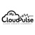 MYCLOUDPULSE TECHNOLOGY PRIVATE LIMITED Logotype