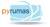 PYRUMAS SOFTWARE PVT LTD Logotype