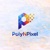PolyNPixel Logotype