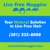 Lice Free Noggins DC - Natural Lice Removal and Lice Treatment Service Logotype