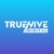 TrueHive Digital Logotype