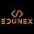 EDUNEX NTI THIB CONSULTANCY SERVICES LLP Logotype