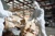 ASBESTOS REMOVAL YONKERS NY Logotype