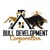 Bull Development Corp Logotype