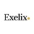 Exelix business consulting Logotype