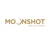 Moonshot Solutions Logotype
