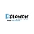 Salomon Web services Logotype