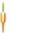 Nichem Solution Logotype
