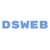 DSWEB LLC Logotype