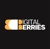DIGITAL BERRIES PVT LTD Logotype