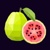 Guava Tech Logotype