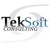 TekSoft Consulting, LLC Logotype