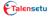 Talensetu Service pvt ltd Logotype