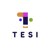 TESI Outsourcing Logotype