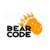 Bear Code LLC Logotype