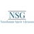 Nussbaum Speir Gleason PLLC Logotype