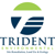 Trident Environmental Consultants Logotype
