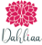 Dahliaa Interior Studio Logotype