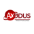 Axodus Infotech Private Limited Logotype