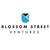 Blossom Street Ventures Logotype