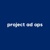 Project Ad Ops, LLC Logotype