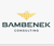 Bambenek Consulting, LTD Logotype