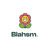 Blahsm Web Design Logotype