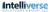Intelliverse Solutions Group, LLC Logotype