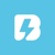 Bridcodes Global Logotype