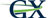 GX Transportation Solutions Inc Logotype