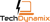 Tech Dynamix Logotype
